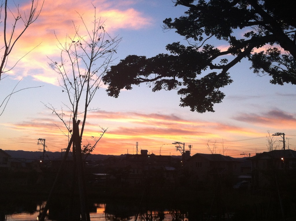 写真 2.JPG