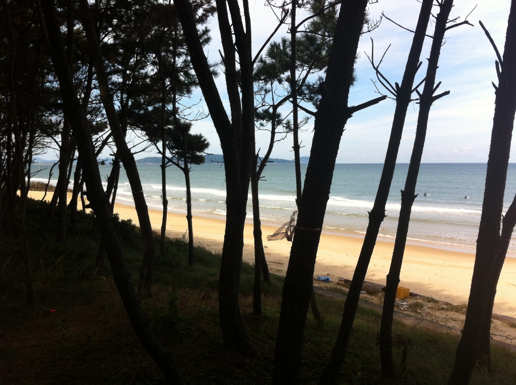 2012-10-08 10.15.19.jpg
